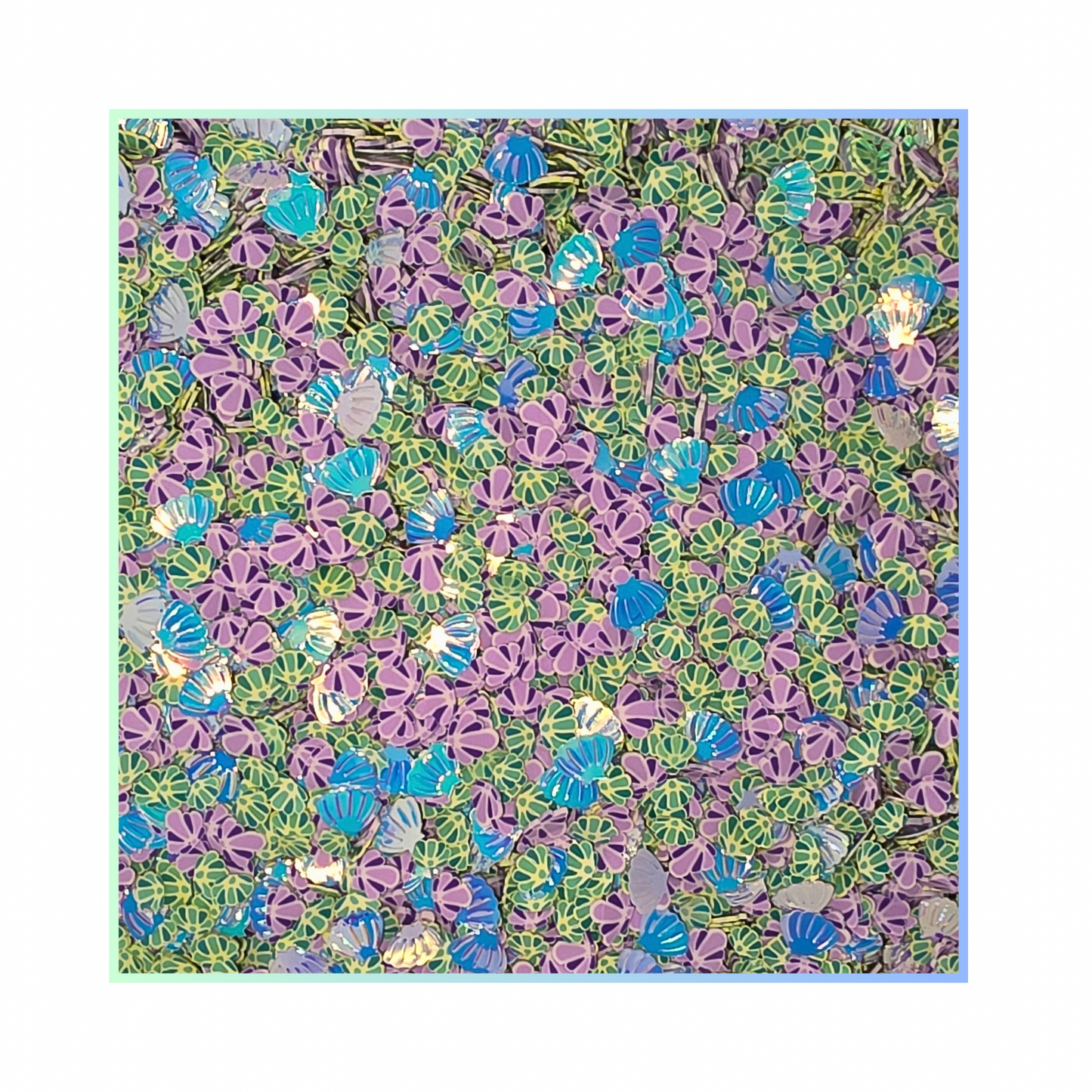 Elixir Elements - Seashells