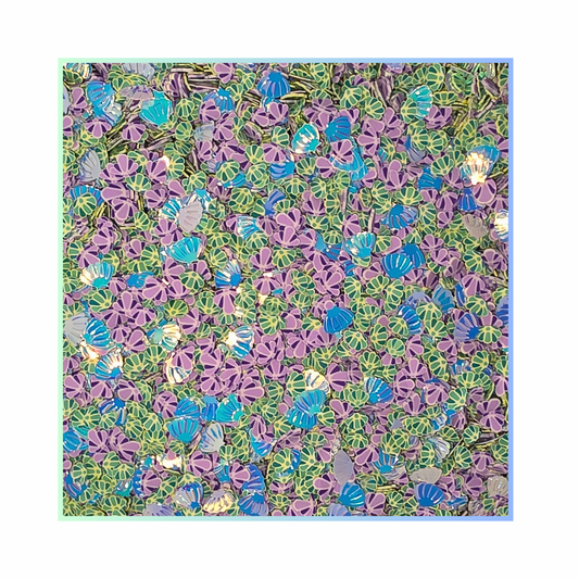 Elixir Elements - Seashells
